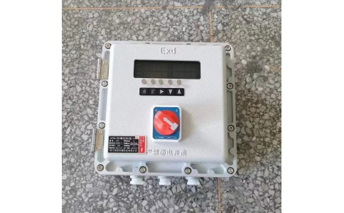 BXK防爆仪表控制箱 温控仪防爆箱 铸铝材质