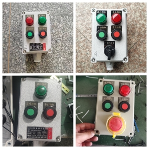 铸铝防爆操作柱 HZ-BZC-A2D2K1B1GL