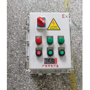 防爆电机风机控制箱 正反转防爆磁力启动器