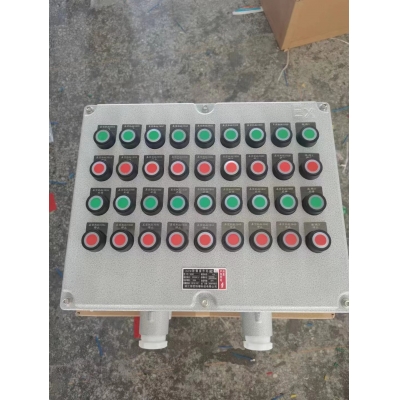 多回路防爆按钮箱 BXK/BZC防爆操作箱柱
