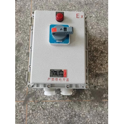 IIBT4防爆塑壳断路器 10A-250A BXKD防爆负荷开关