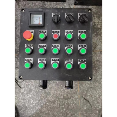 BXK8030防爆防腐控制箱 现场防爆操作箱