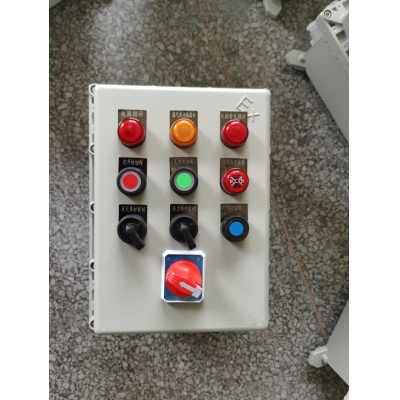 火检防爆控制箱 BXK-400-500-200