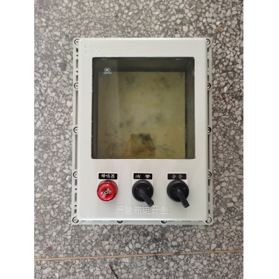 防爆仪表控制箱 BXK带防爆透视窗 300-400-200