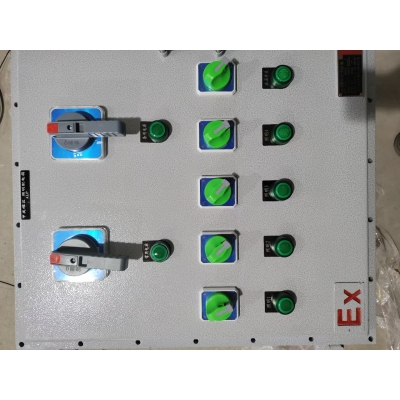 高品质防爆控制柜 BXM(D)高工艺防爆配电柜