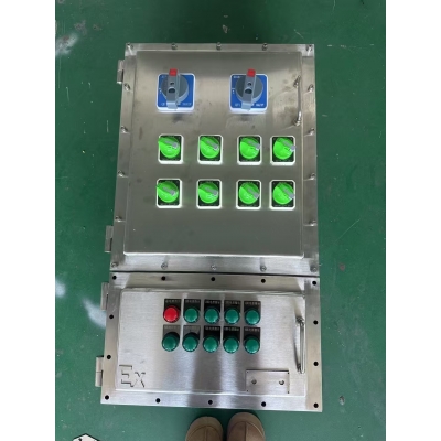 防爆配电装置(照明动力配电箱)304材质 BXM(D)