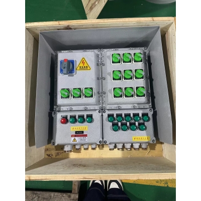 户外防爆动力配电箱 IIBT4 IP66