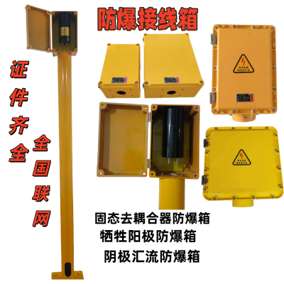 防爆固态去耦合器防爆箱牺牲阳极防爆电箱汇流点防爆箱