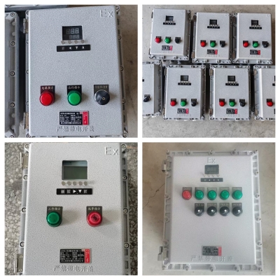 防爆温控加热仪表控制箱BXK防爆仪表箱